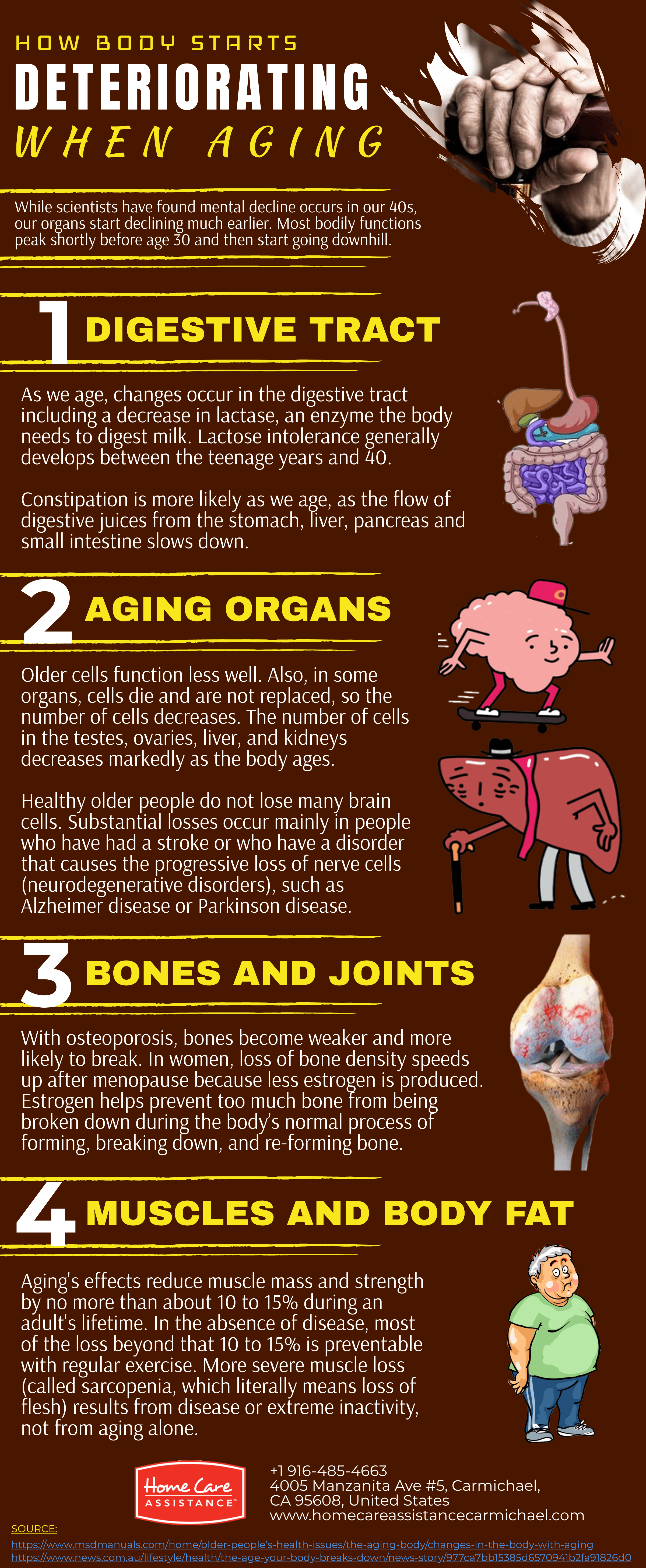 How the Body Starts Deteriorating When Aging [Infographic]