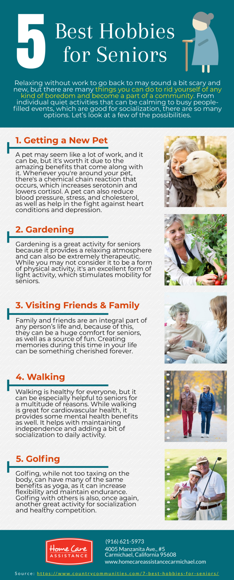 5 Best Hobbies for Seniors [Infographic]